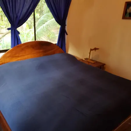 Nosara Paradise Rentals-3